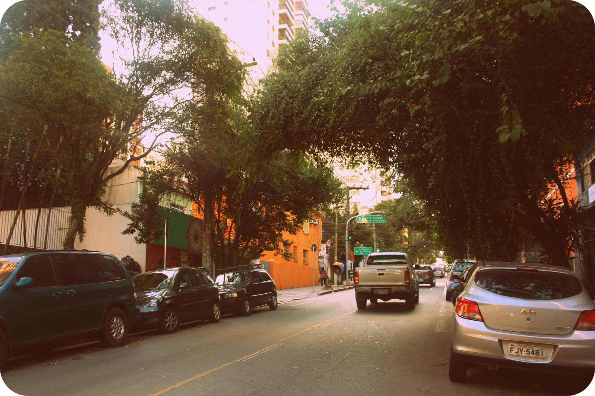 Pousada E Hostel Sao Paulo Comfort - Bairro Pinheiros, Proximo Hospital Das Clinicas E Incor, Oscar Freire, Av Paulista, Allianz, Vila Madalena E Facil Acesso Ao Ibirapuera E Morumbi Экстерьер фото